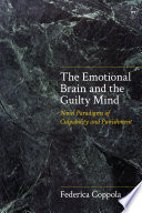 The Emotional Brain and the Guilty Mind, Novel Paradigms of Culpability and Punishment