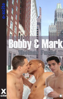 Bobby and Mark, Gay erotic fiction